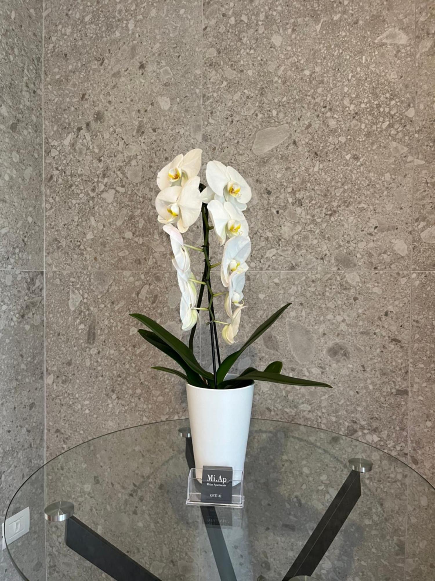 ミラノMiap Orti 31アパートメント エクステリア 写真